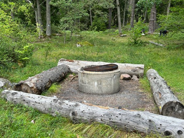 Hansta naturreservat - Huvudbild