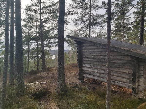 Härnebosjön öst - Bild 1