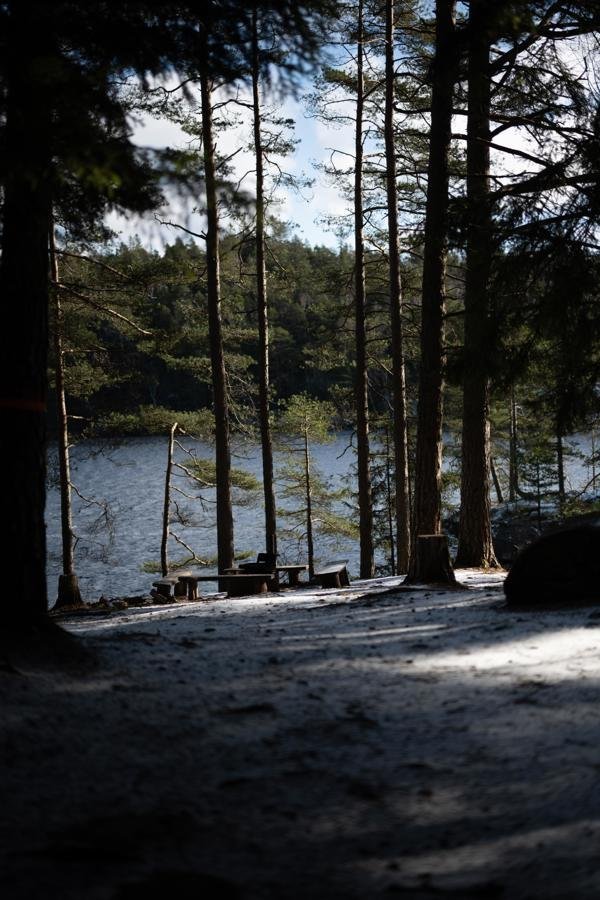 Härsvatten Vindskydd i Svartedalen - Bild 5