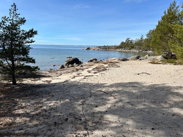 Harviken - Bild 2