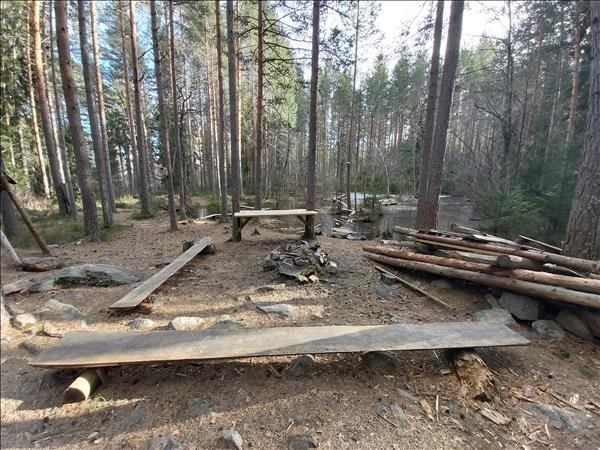 Hedängs skolskog #1 - Huvudbild
