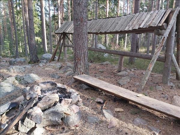 Hedängs skolskog #2 - Bild 2