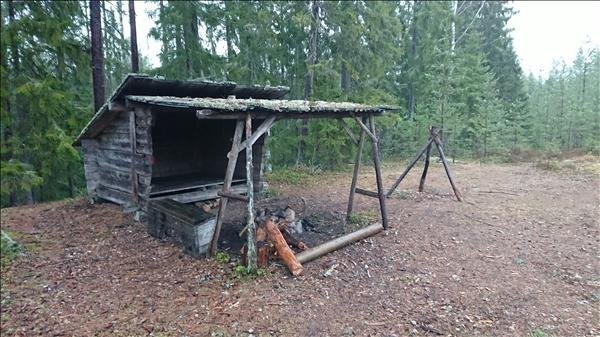 Hedarna - Huvudbild