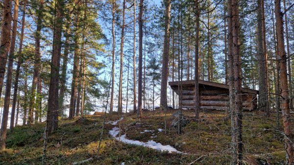 Hinsnorsön - Huvudbild
