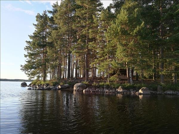 Hjärtön - Bild 1