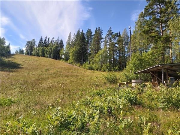 Hoforsbacken - Bild 3