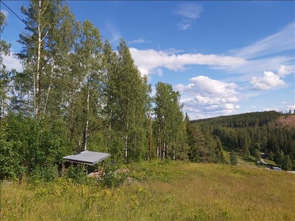 Hoforsbacken - Bild 4