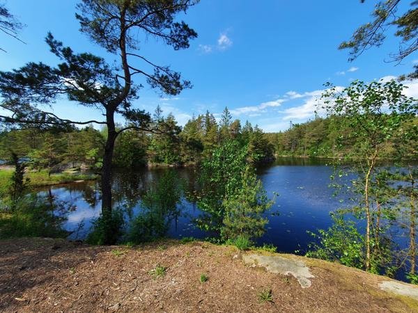 Holmevatten, Svartedalen  Vindskydd - Bild 3