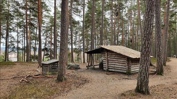 Hosjökojan - Huvudbild