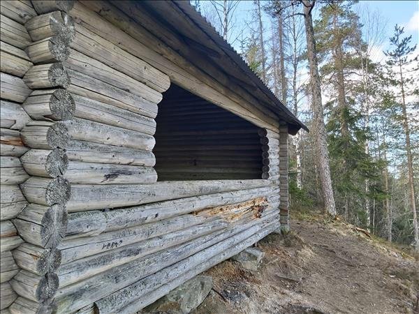 Hovgårdsklack - Bild 3