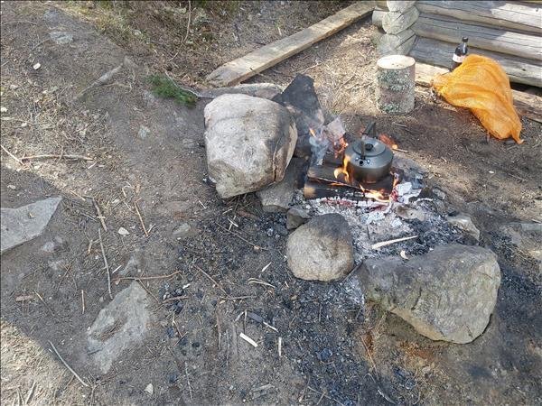 Hovgårdsklack - Bild 4