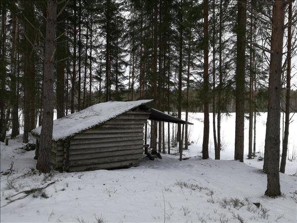 Kalven - Huvudbild