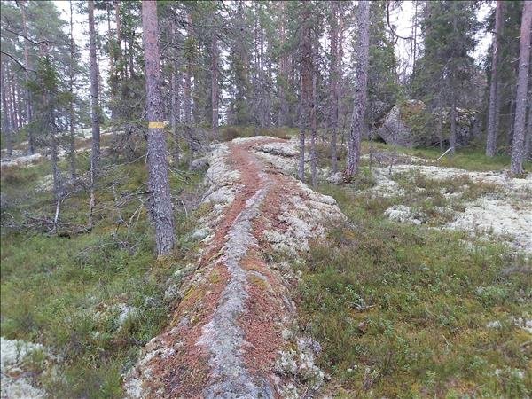 Kårstjärn - Bild 3
