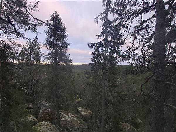 Kårstjärn - Bild 4