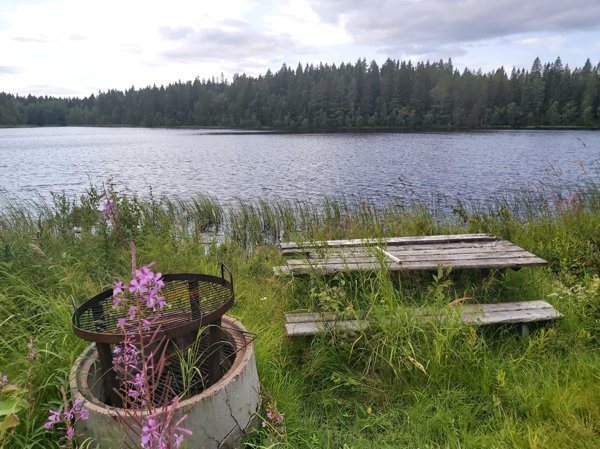 Kasaviken - Bild 1