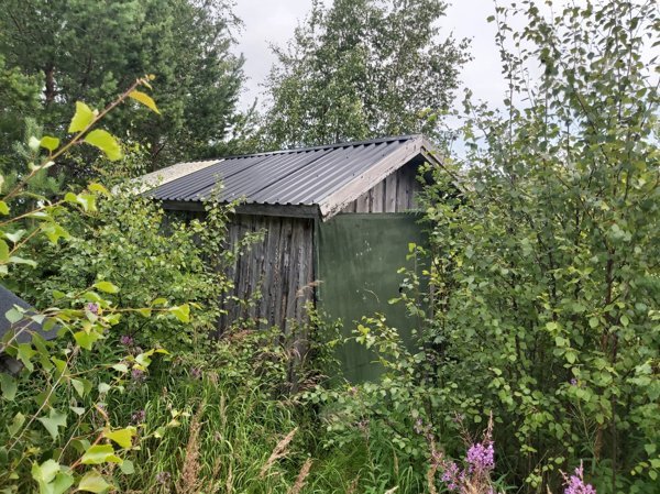 Kasaviken grillkåta - Bild 3
