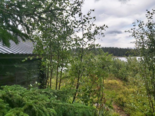 Kasaviken grillstuga - Bild 3