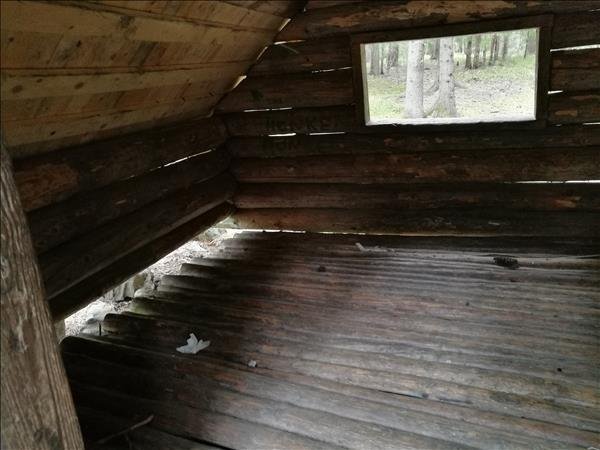 Kojan - Bild 2