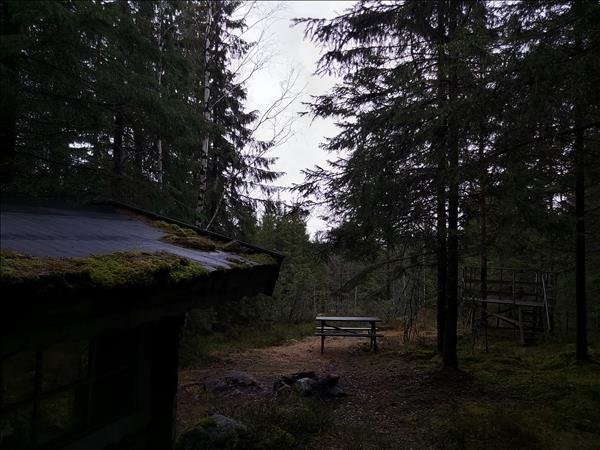 Kojan vid blå leden - Bild 5