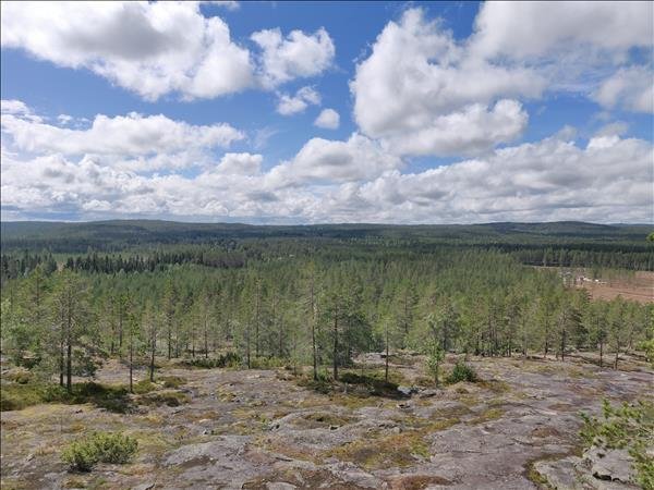 Krogberget Grillstuga - Bild 4