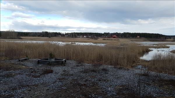 Kyrkbytjärn - Huvudbild