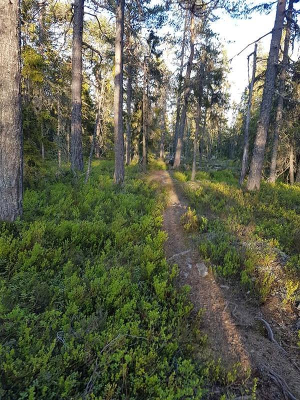 Långmyrberget grill - Bild 4