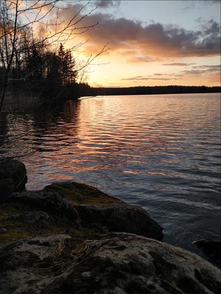 Lermons Vindskydd - Bild 1