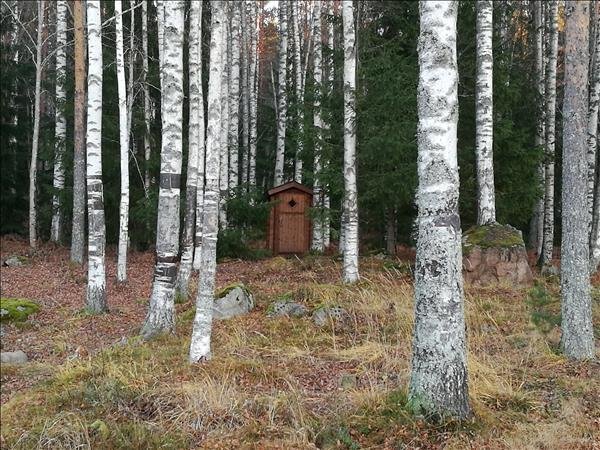Lissjön udden - Bild 2
