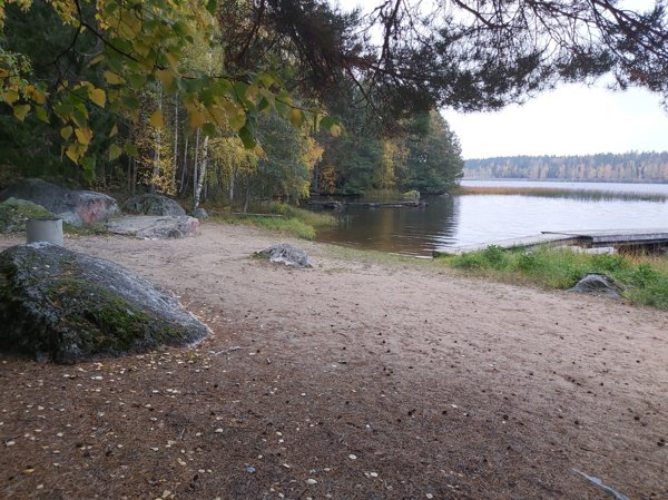 Ljusnan dammen - Bild 2