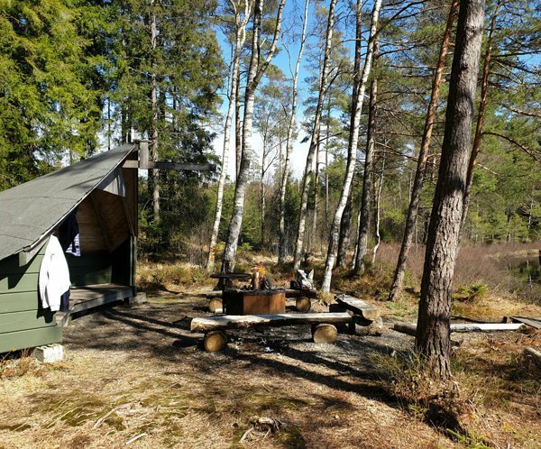 Lomsjön - Bild 2