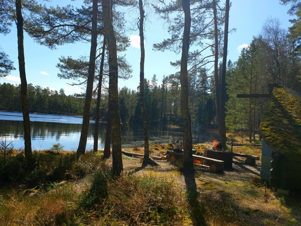Lomsjön - Bild 3