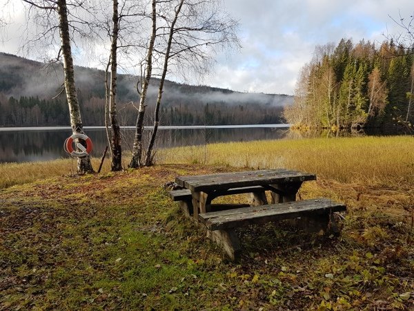 Loning Grill - Bild 1