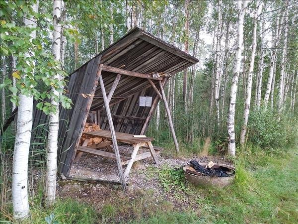 Lumsen #2 - Huvudbild