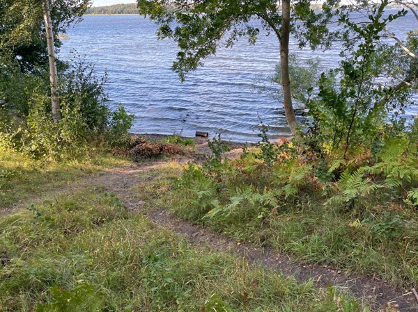 Lunda - Bild 4