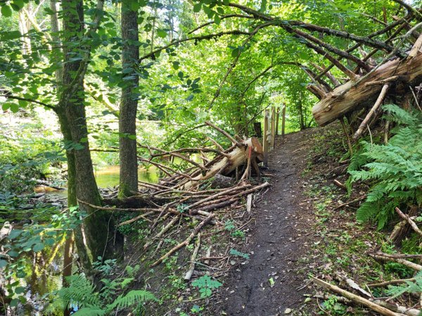 Majoreberg - Bild 2