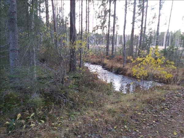 Malmjärnsbäcken - Bild 2