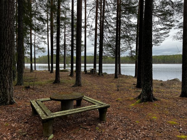 Mörsen - Bild 3