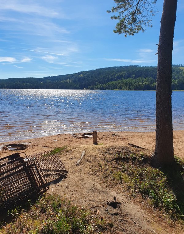 Mossbo playa - Bild 2