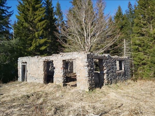 Näset - Bild 4