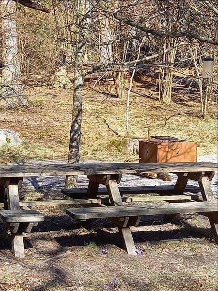 Näset Tullgarns naturreservat - Huvudbild