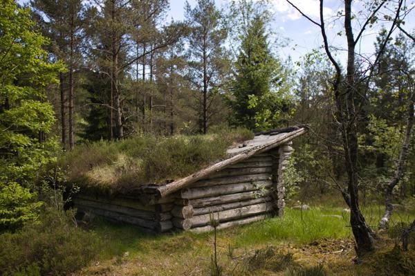 Nedre Långevatten, Svartedalen - Bild 3