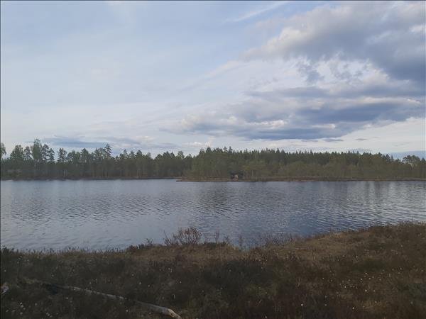 Norr-läxen öst - Bild 2