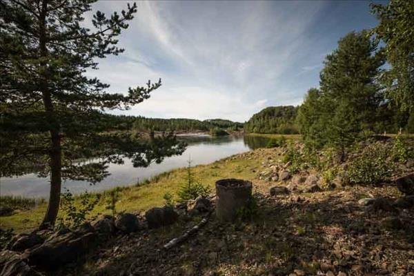 Norrforsen kohagen - Huvudbild