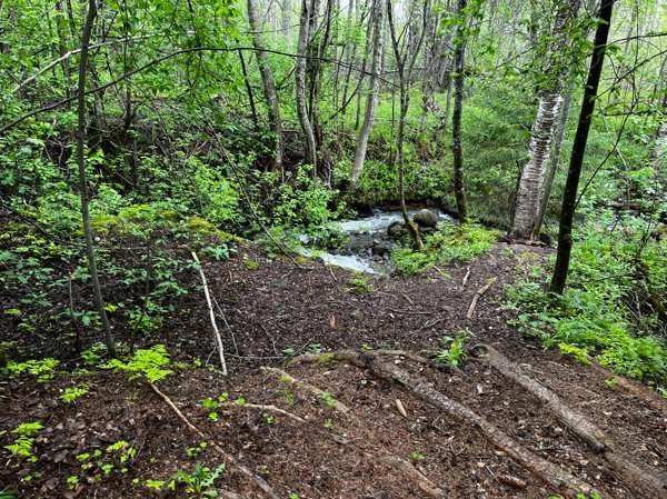 Norrforsstugan - Bild 3