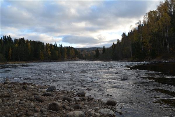Notstugan Grenforsen - Bild 2