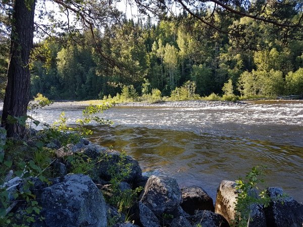Notstugan Grenforsen - Bild 7