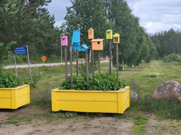 Nuolajärvi #2 - Bild 2