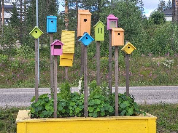 Nuolajärvi #3 - Bild 4