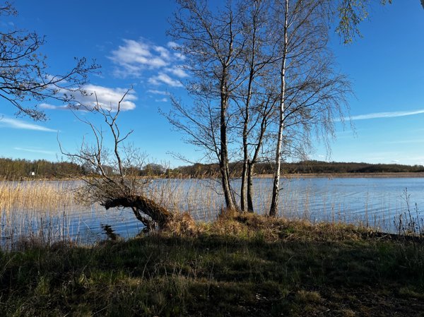 Oknöbadet - Bild 4