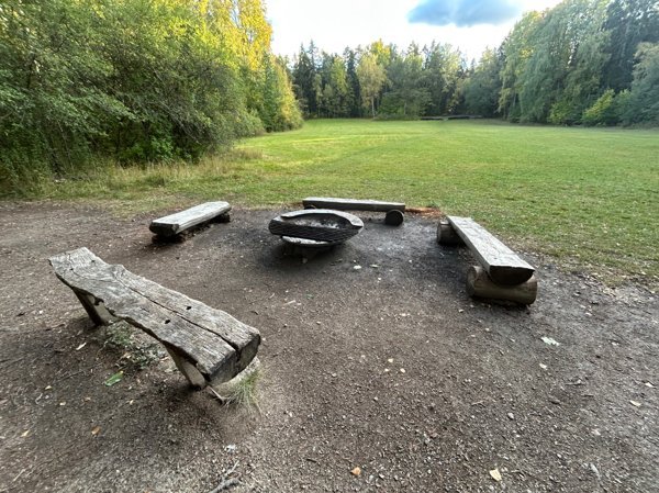 Öppen gräsmark - Judarskogens naturreservat - Huvudbild
